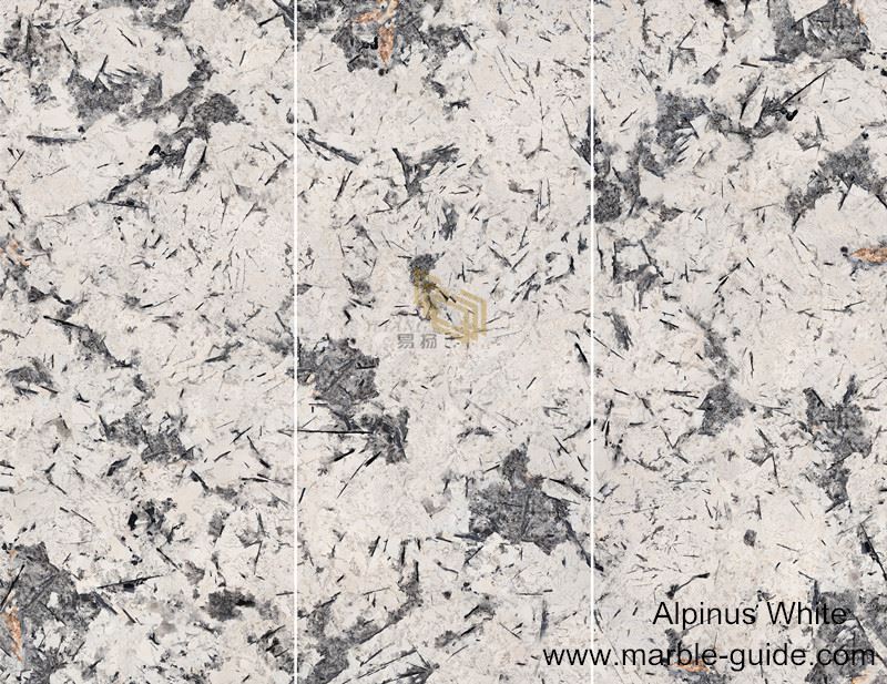 Alpinus white shiny polished random face