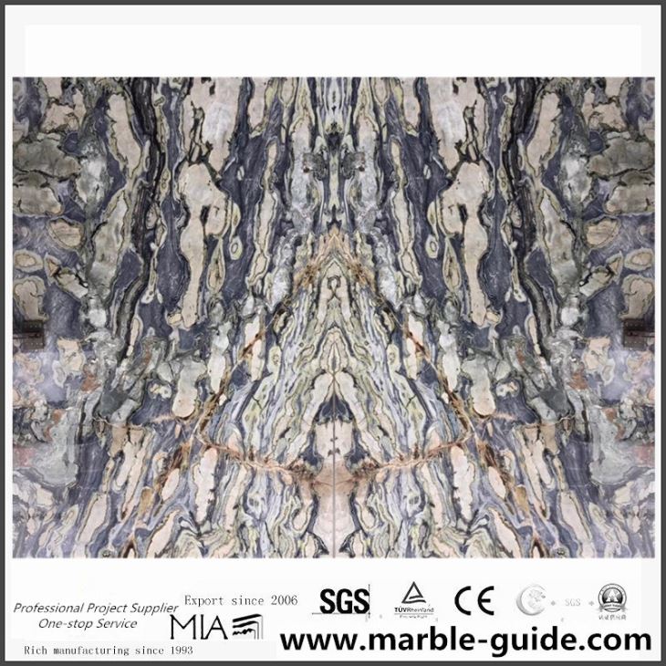 Charming Twilight Gorgio Marble Slab